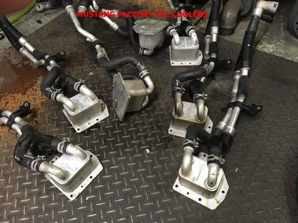 Mustang%20Facrory%20Oil%20coolers_zpsxtoz8ghb.jpg
