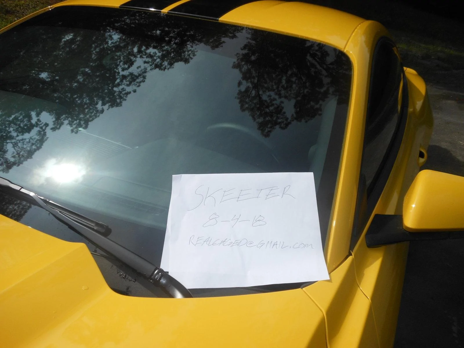 DSCN5132.webp