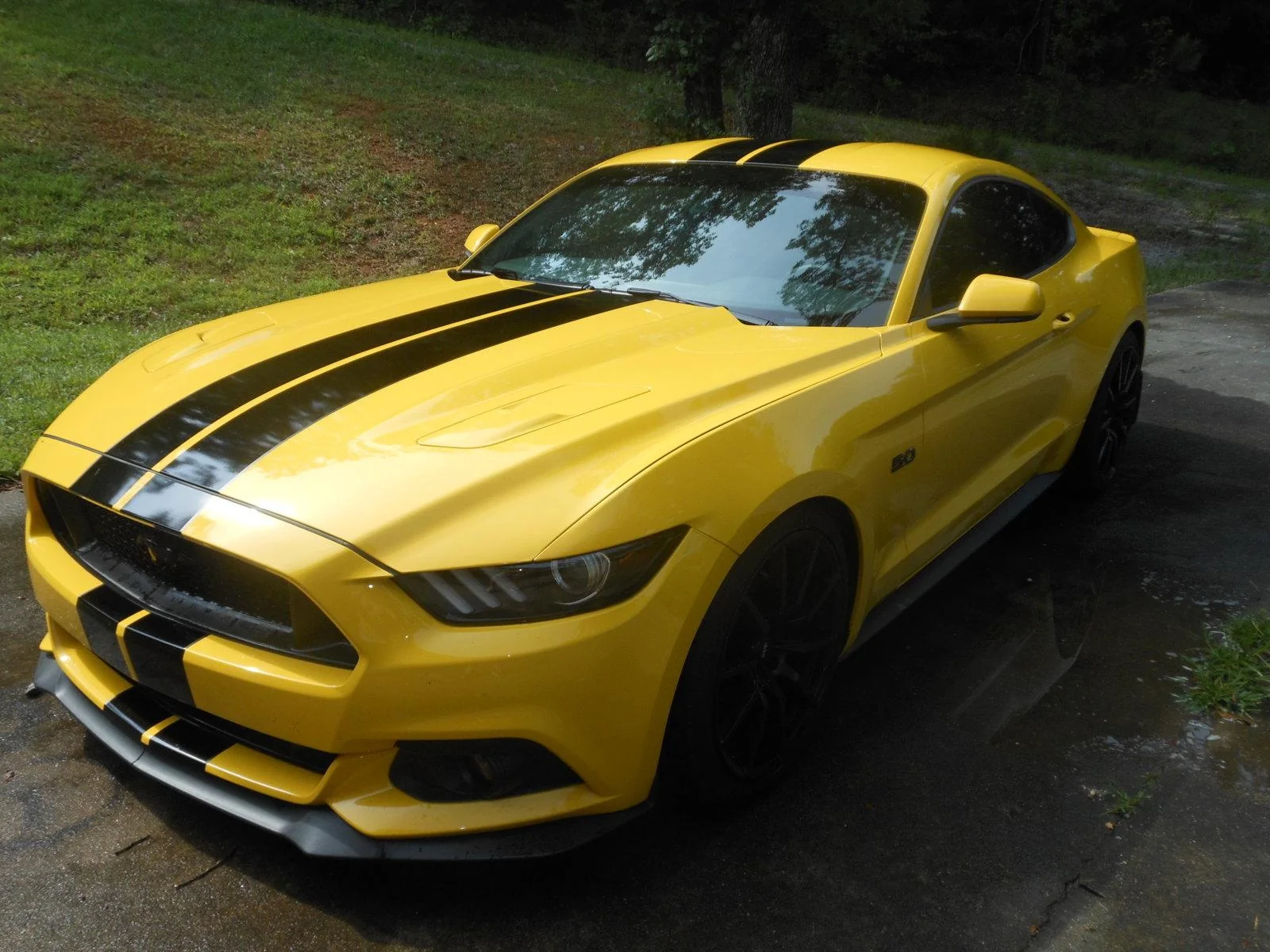 DSCN5135.webp