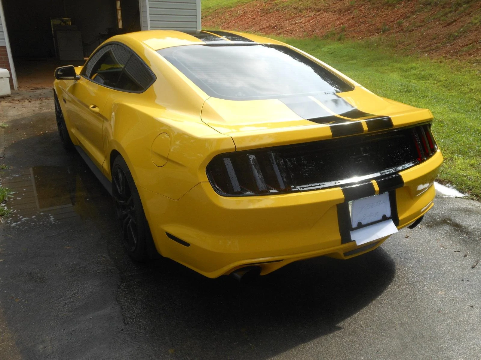DSCN5134.webp