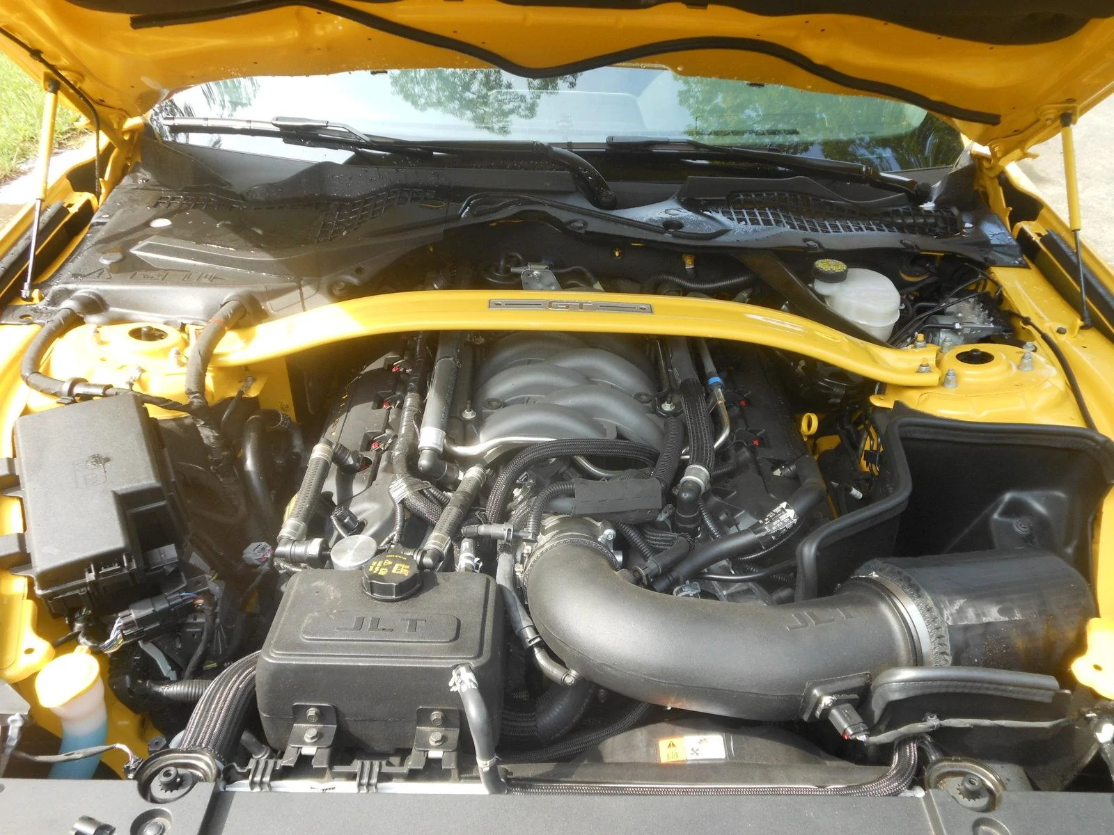DSCN5138.webp