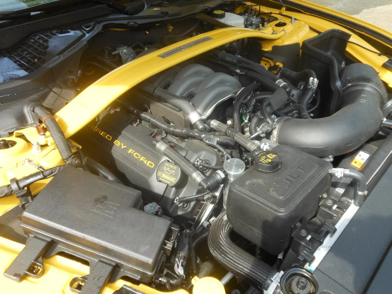 DSCN5139.webp