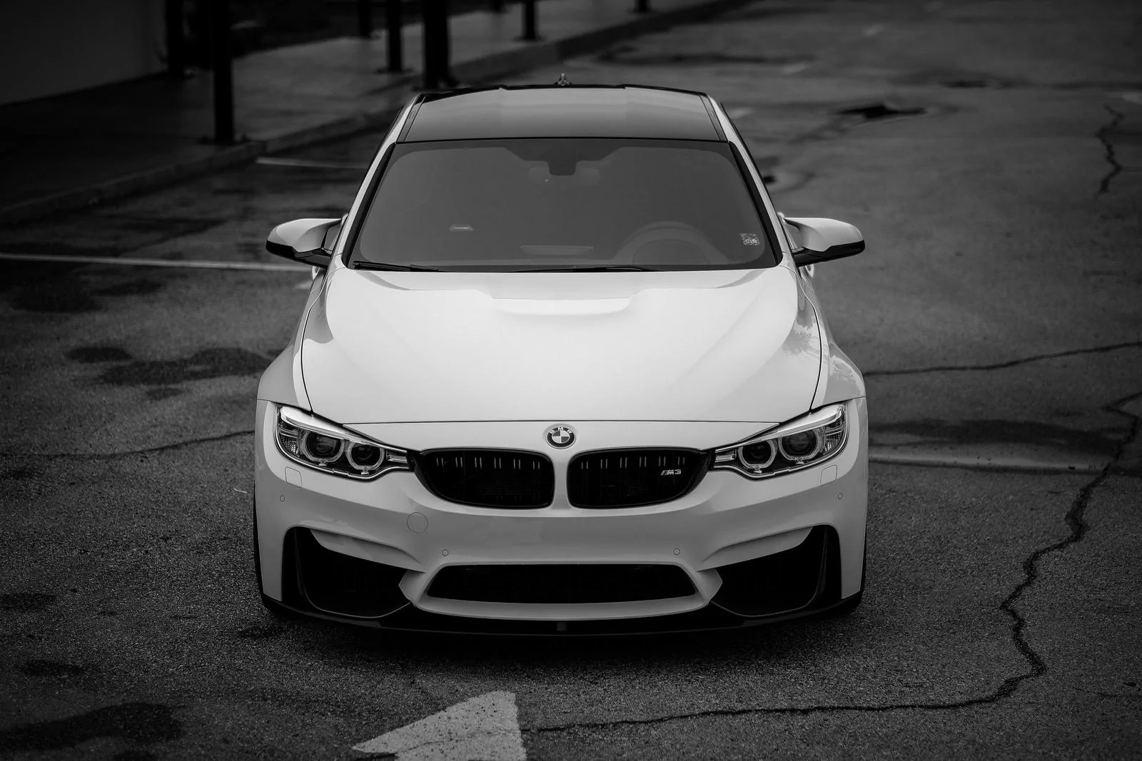 16428769423_7ab10a1a82_h.webp