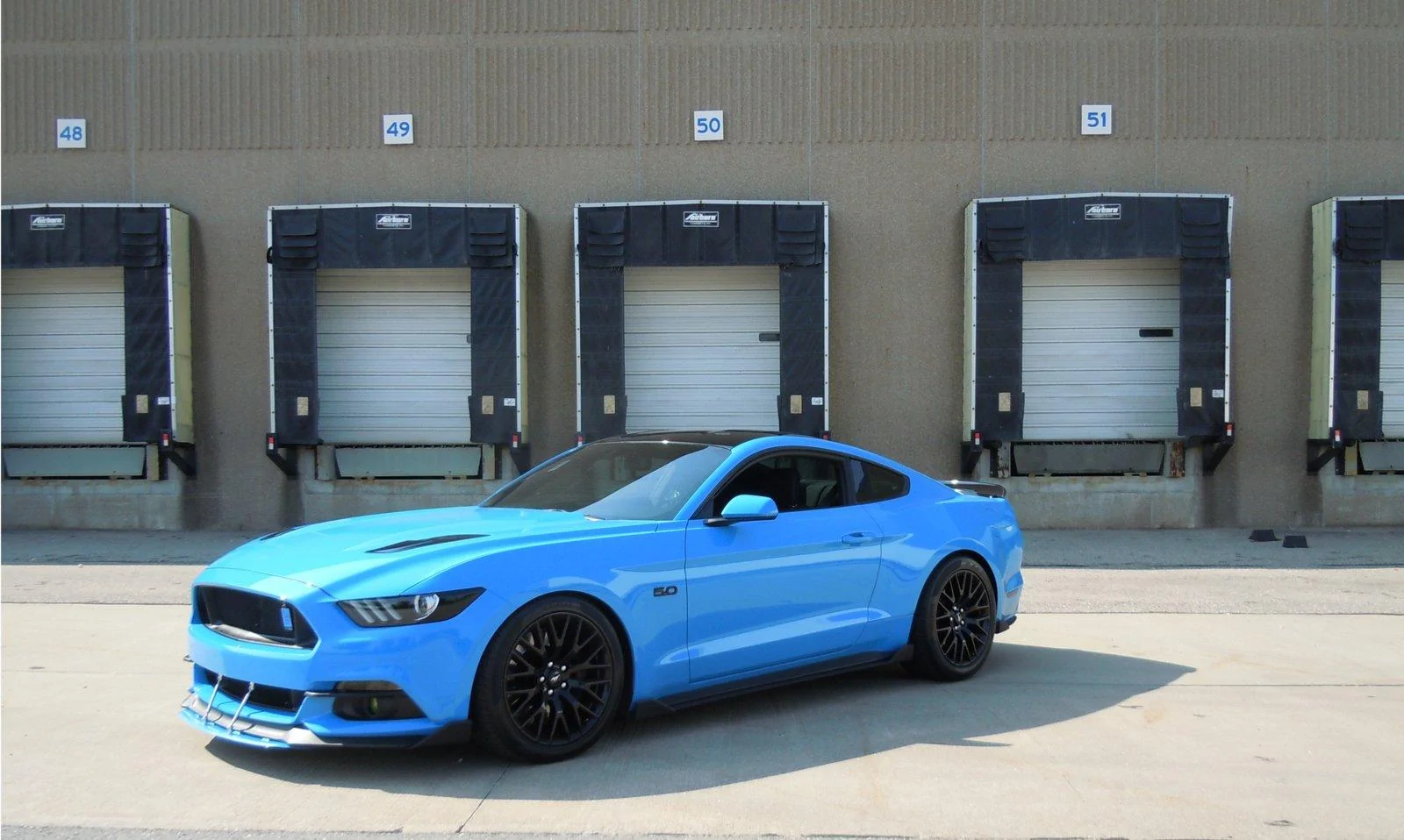 stang2.webp