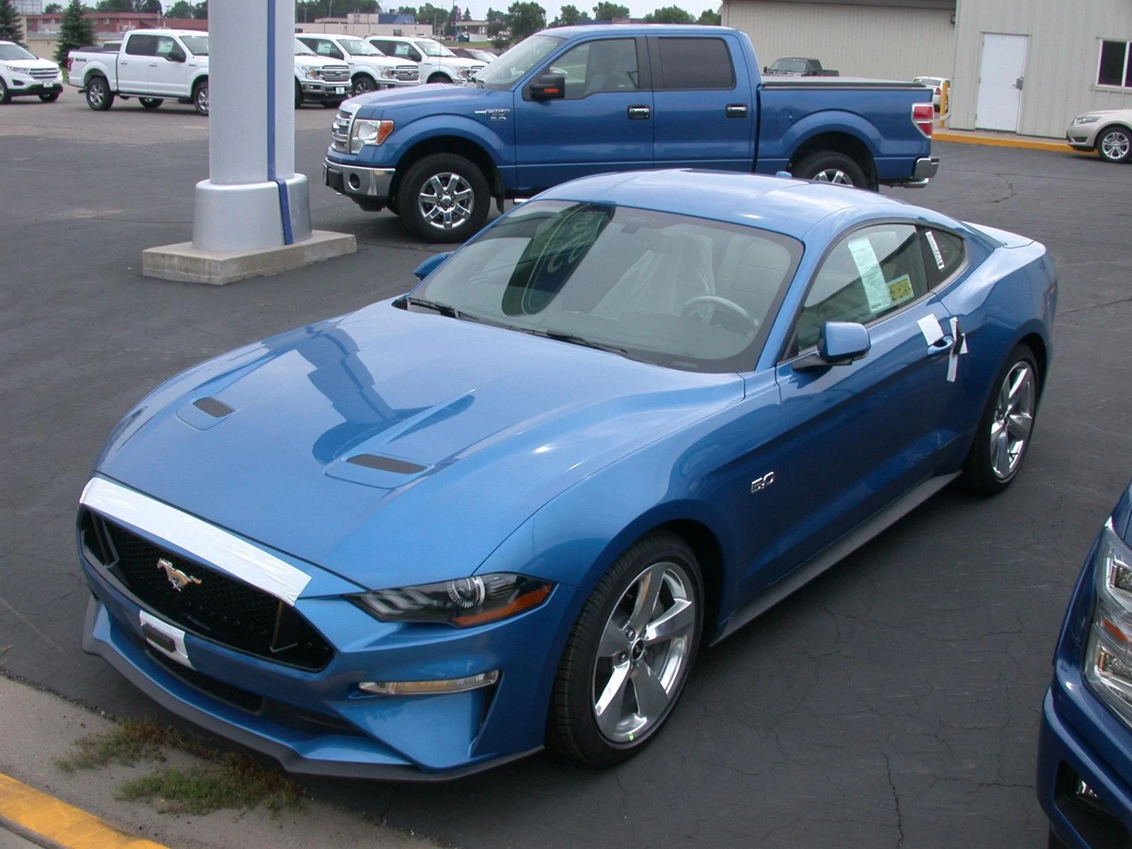 DSCN6655.webp