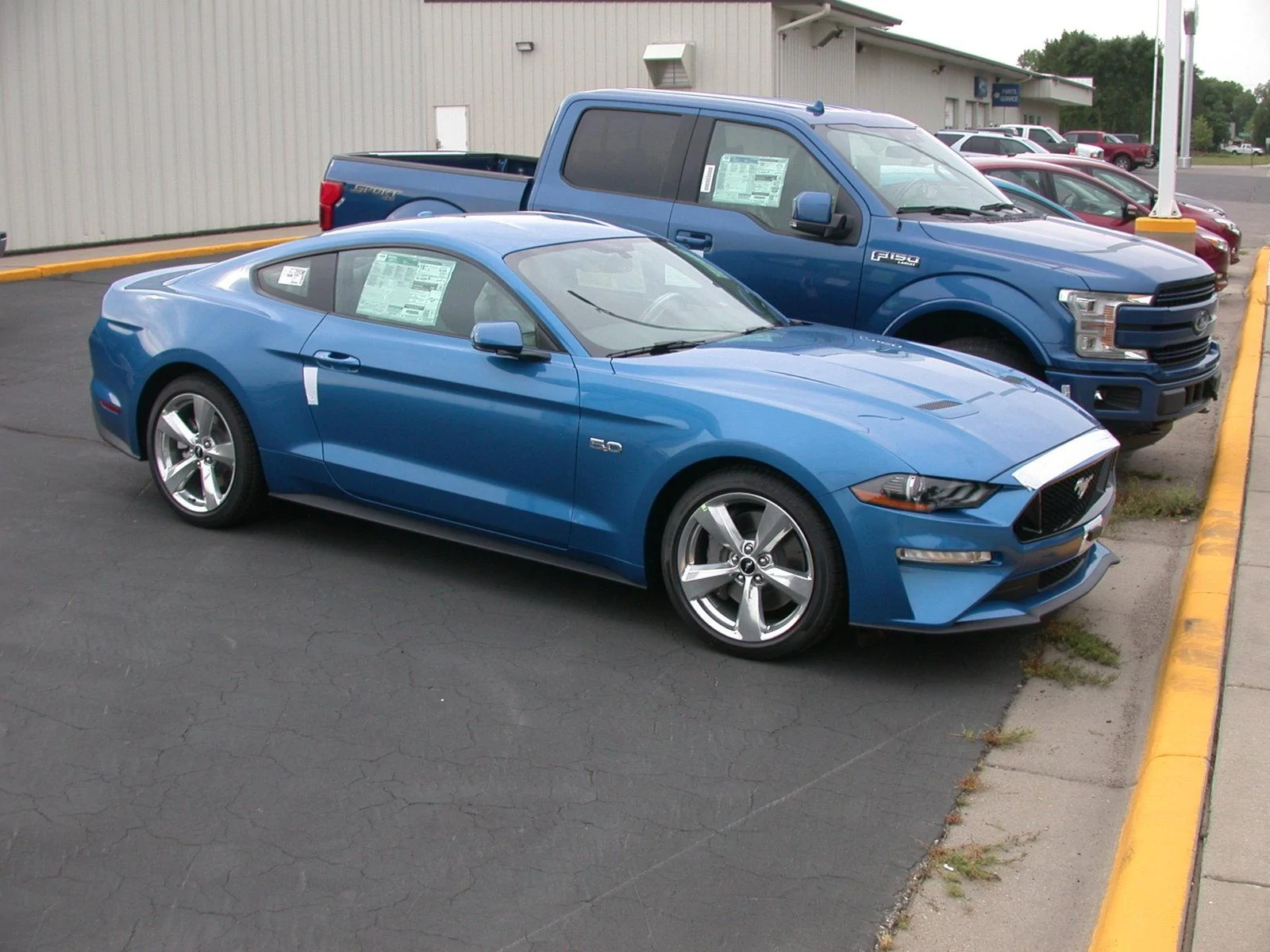 DSCN6675.webp