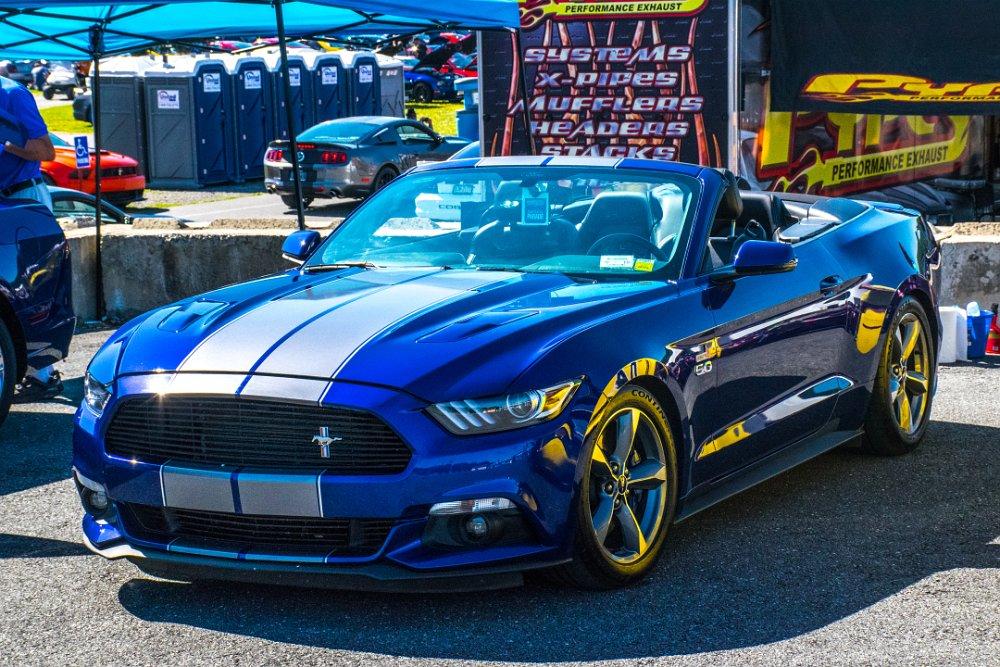 Mustang-11.jpg