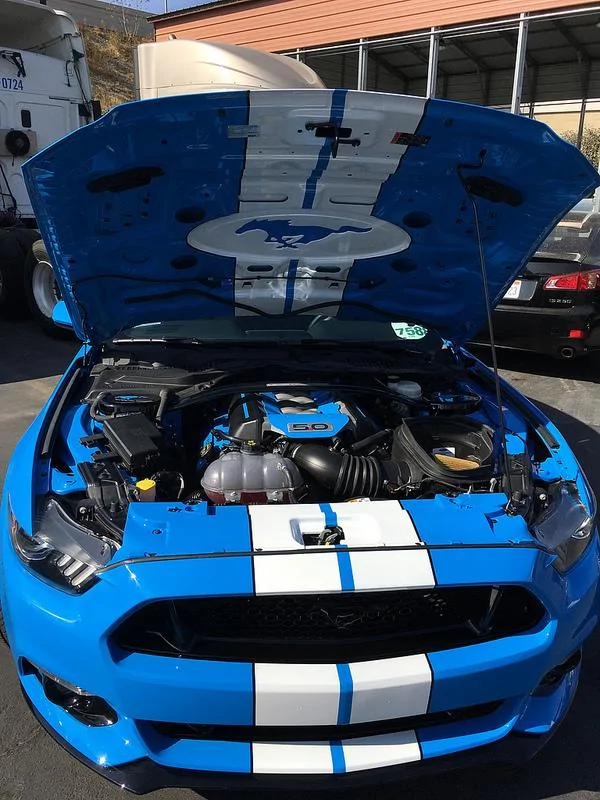 38286352232_b5ed5c9ac0_c.webp