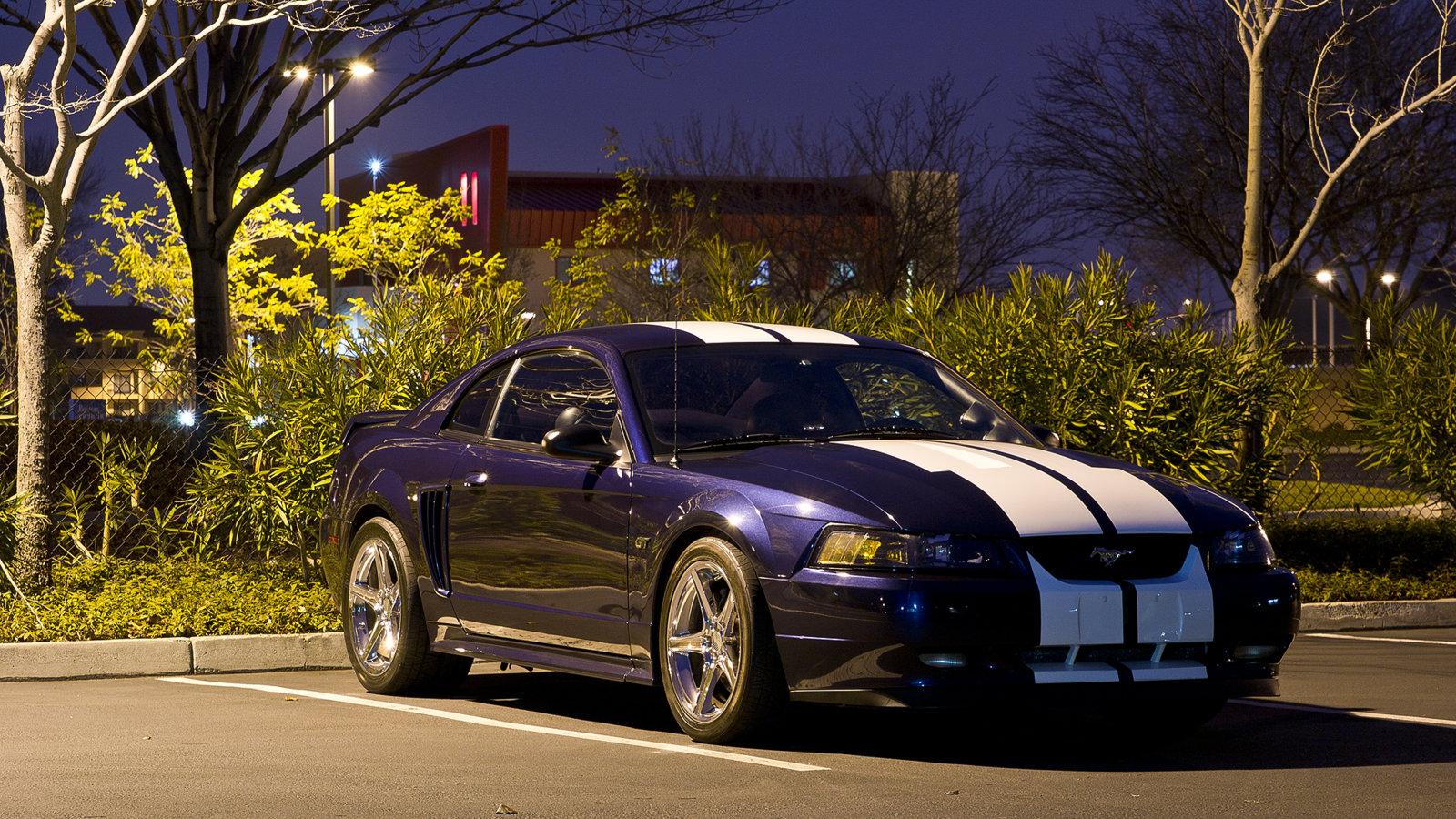 Car M.jpg