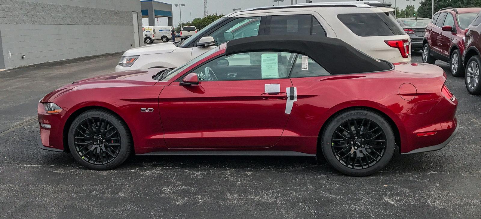 Stang-1.jpg