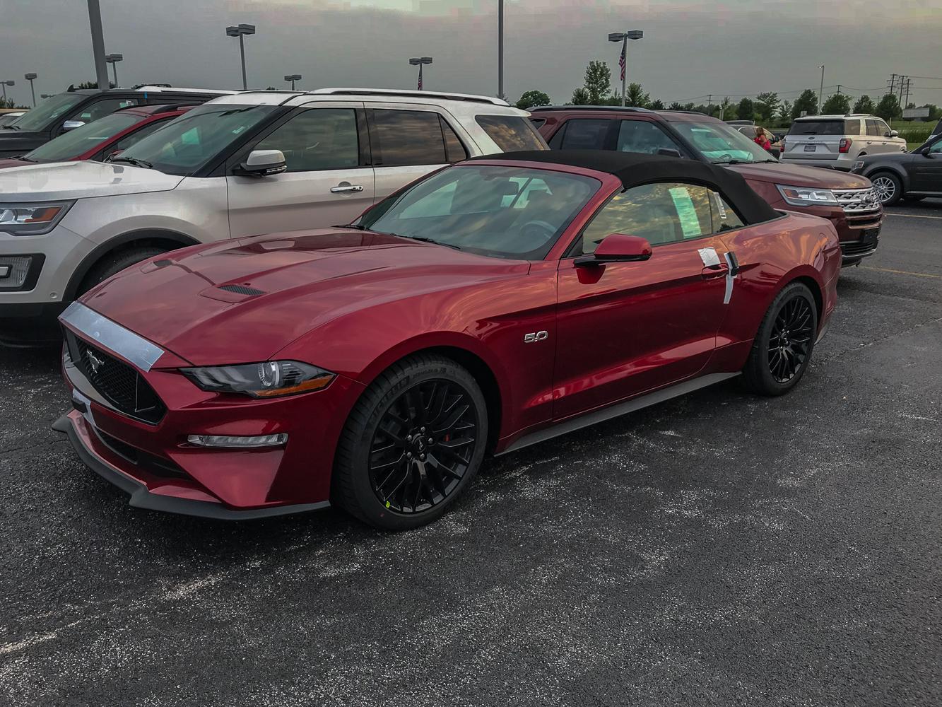 Stang-2.jpg