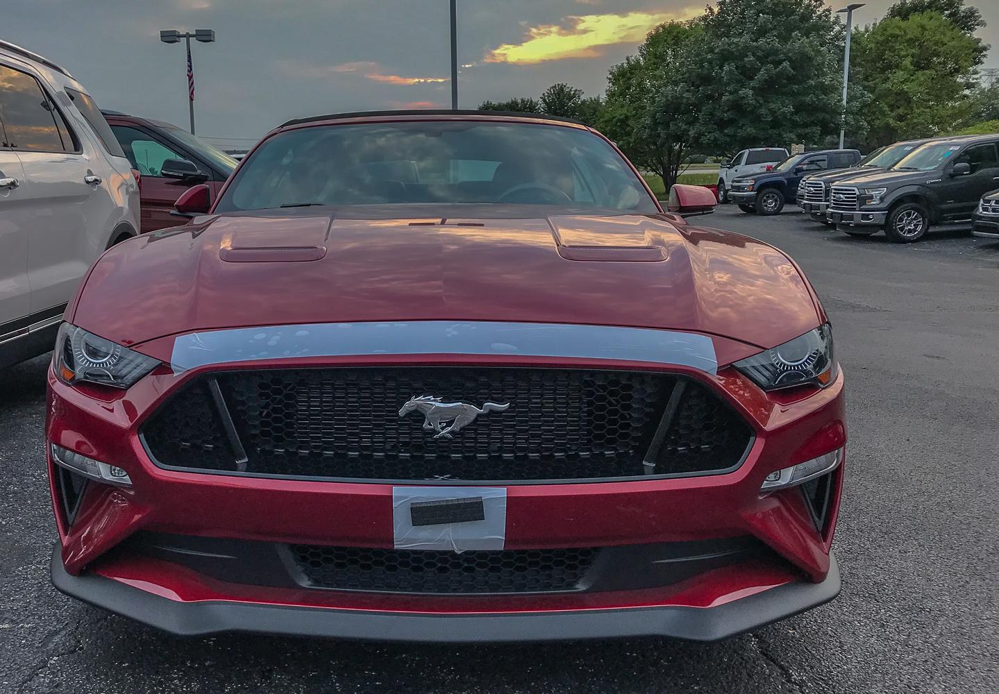 Stang-3.jpg