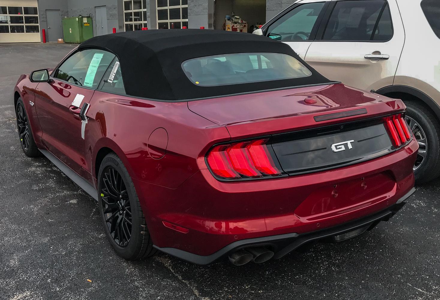 Stang-4.jpg