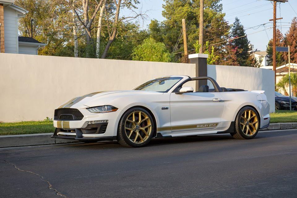 2019 Shelby GT.jpg