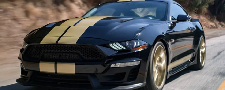 2019 Shelby GT-2.webp