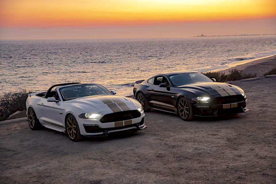 2019 Shelby GT-3.jpg