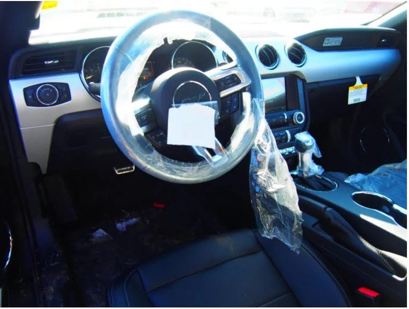 Mustang1.webp