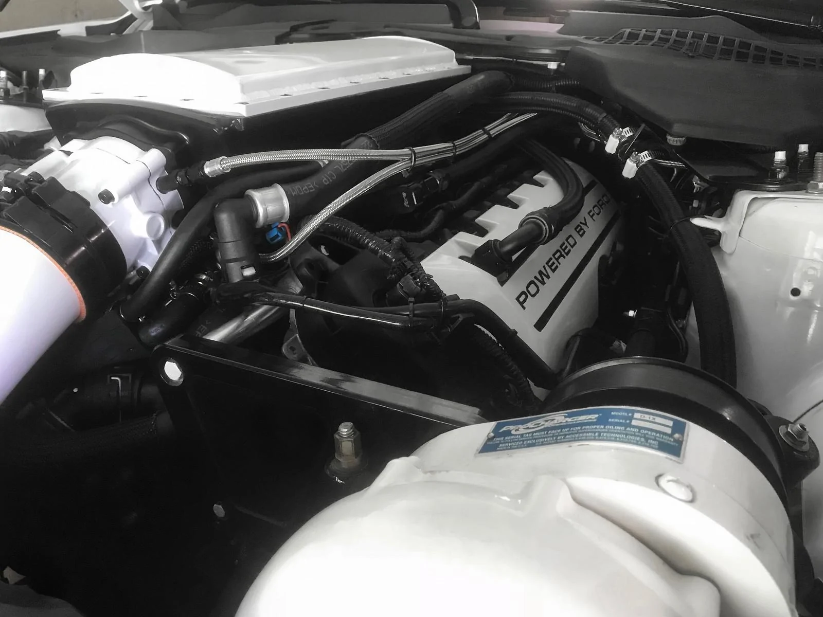 i-QRw9Qr4-X3.webp