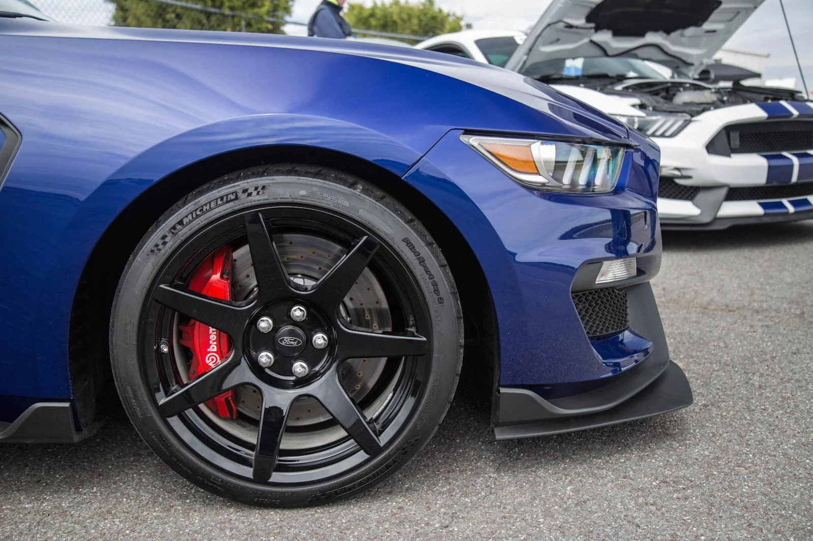 shelby-gt350r-carbon-fibre-wheels.webp