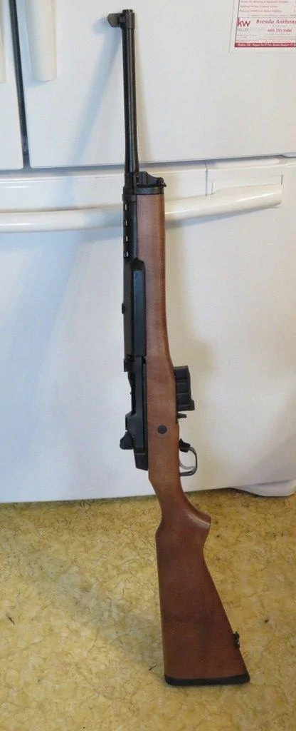 Mini-14 web.webp
