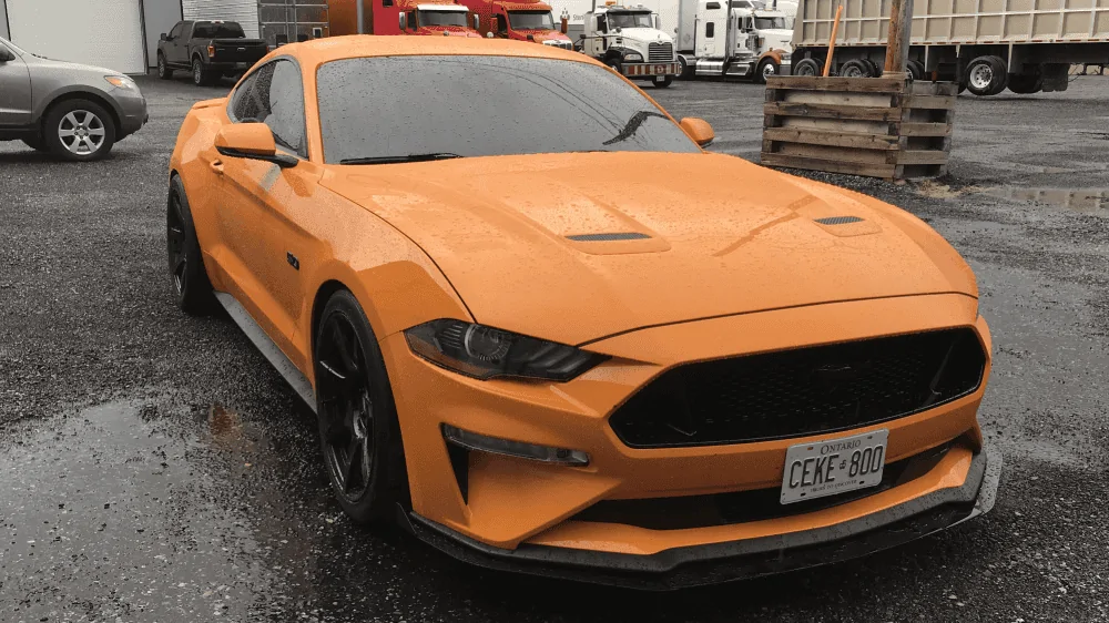 22_F4_A634_A769_402_D_86_F1_45_F64_B27816_E.webp