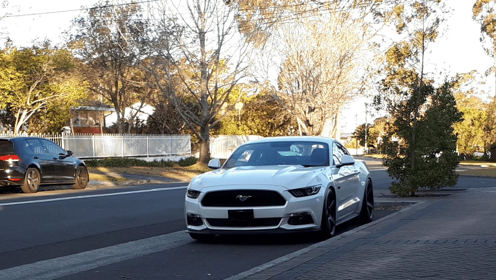 Mustang parked.webp