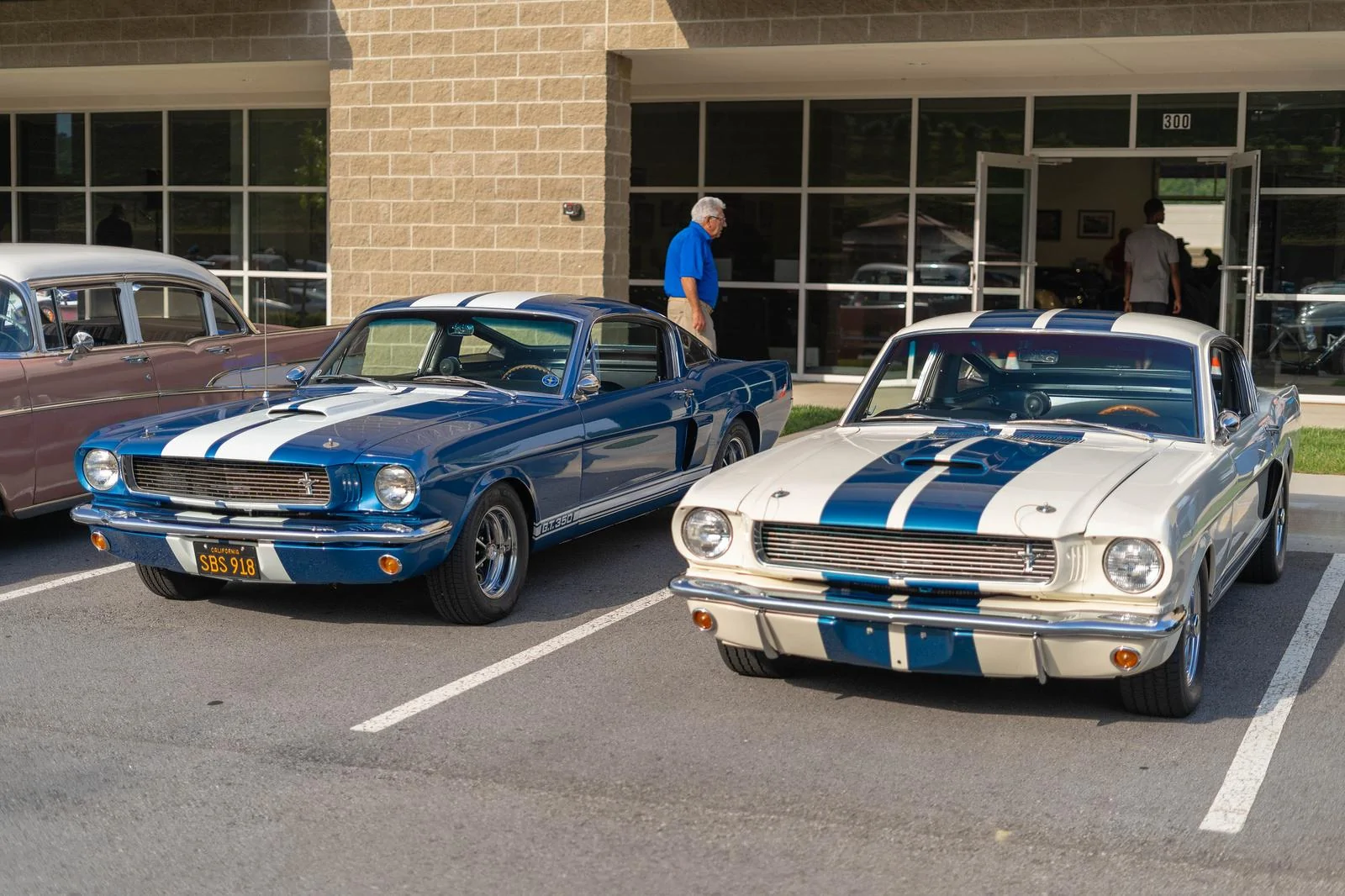 29326116727_754297f0cb_h.webp