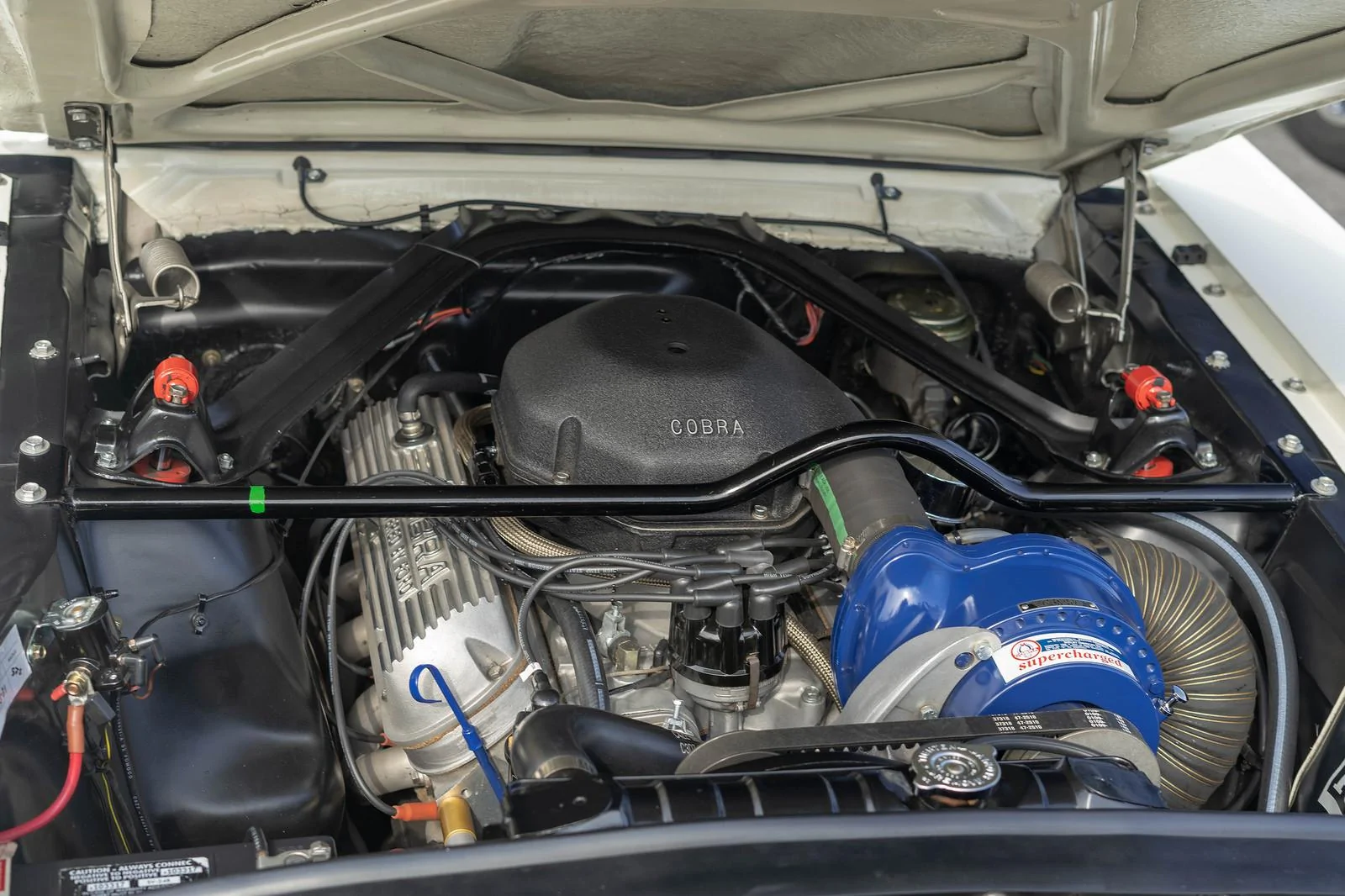 44261800401_a6ca39c3c4_h.webp