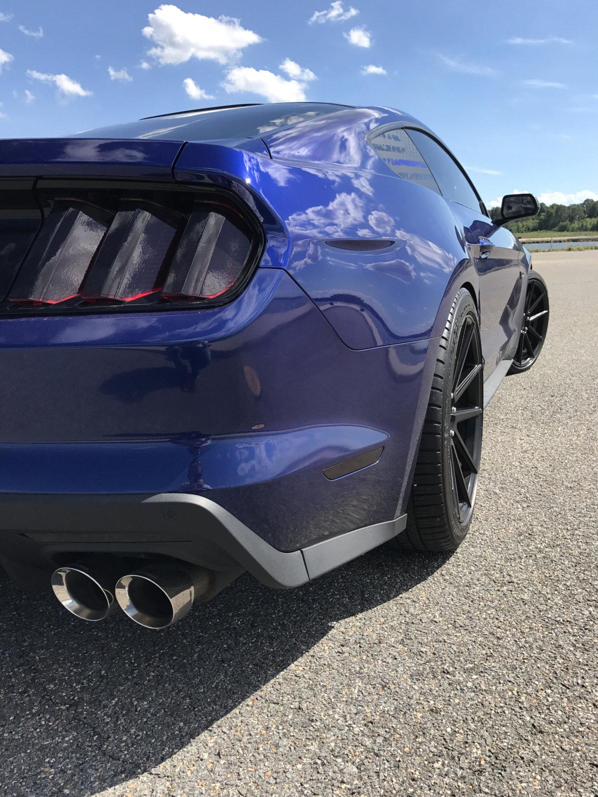 rear1.jpg