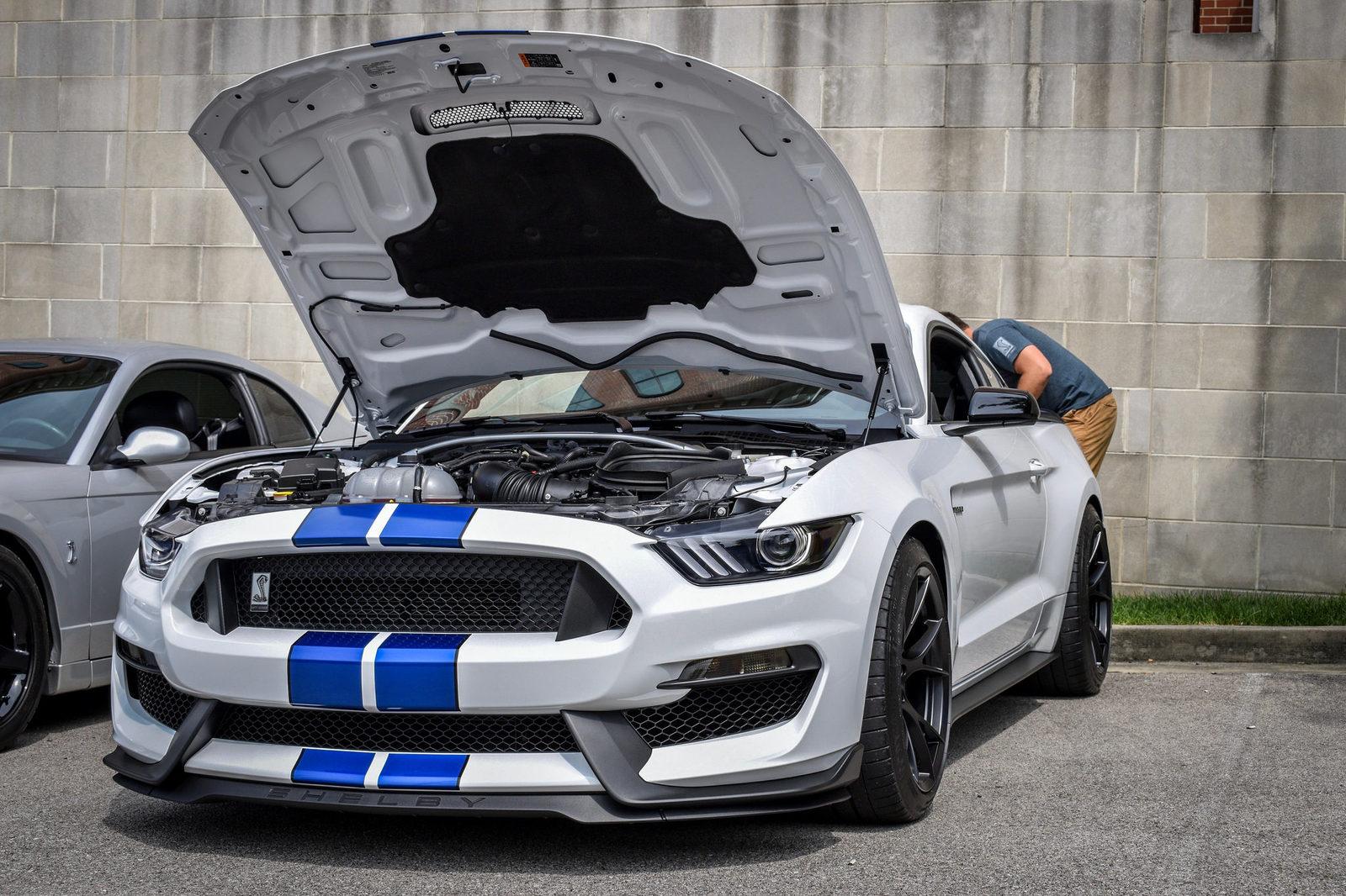 42495344400_3d34d290f1_k.jpg