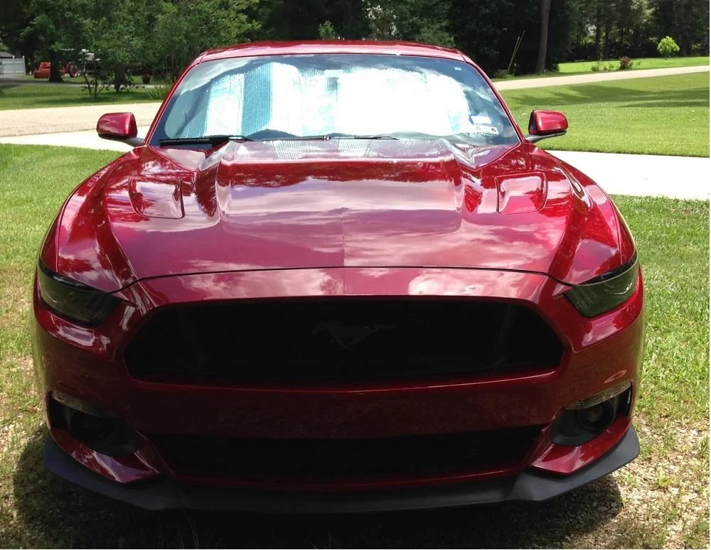 Ruby with Pinnacle Paste Wax large size 3.webp