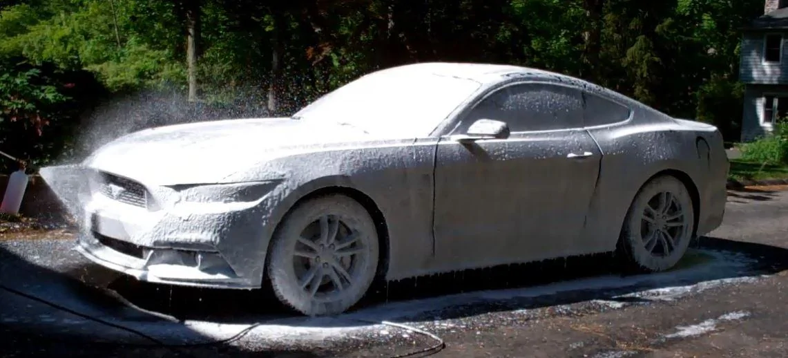 FOAM.webp
