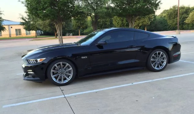 mymustang.webp