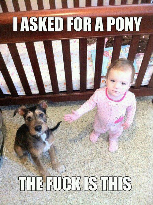 kidsthesedays.jpg