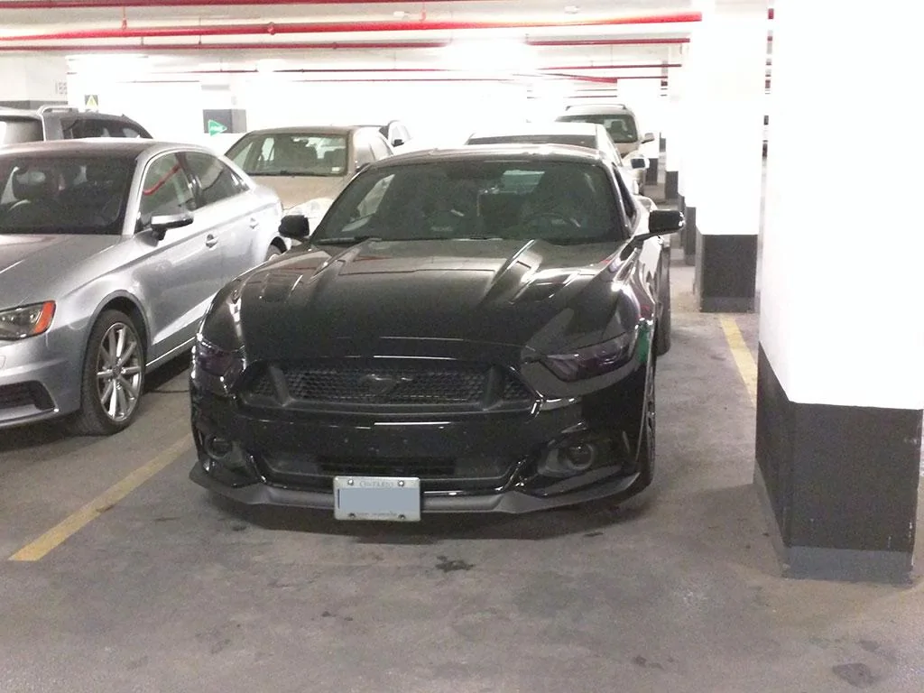 blackedout1.webp