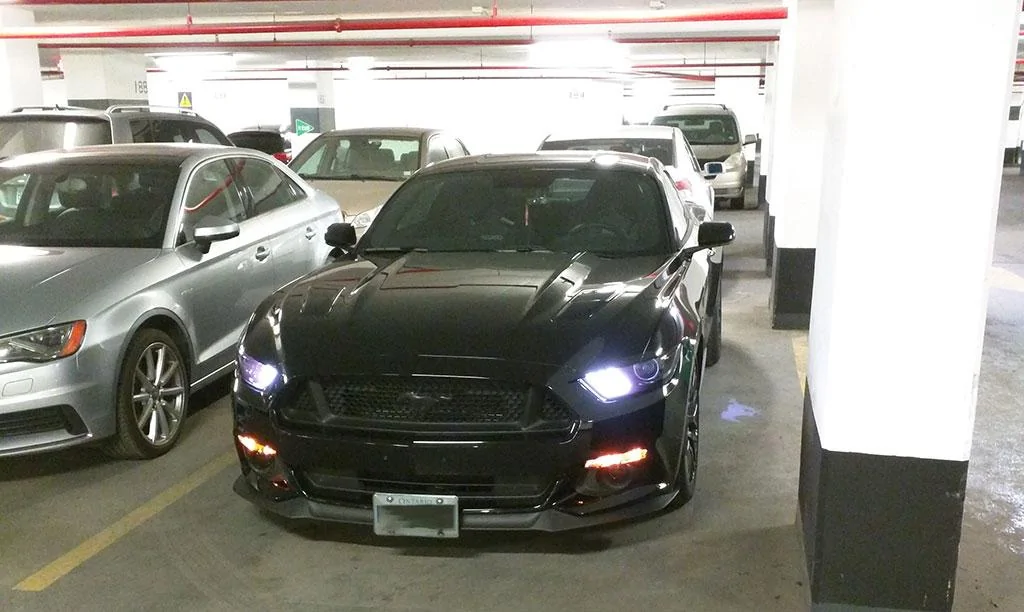 blackedout3.webp