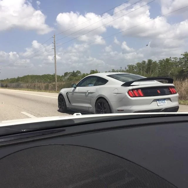 11244432_1592229944361891_1558058431_n.webp