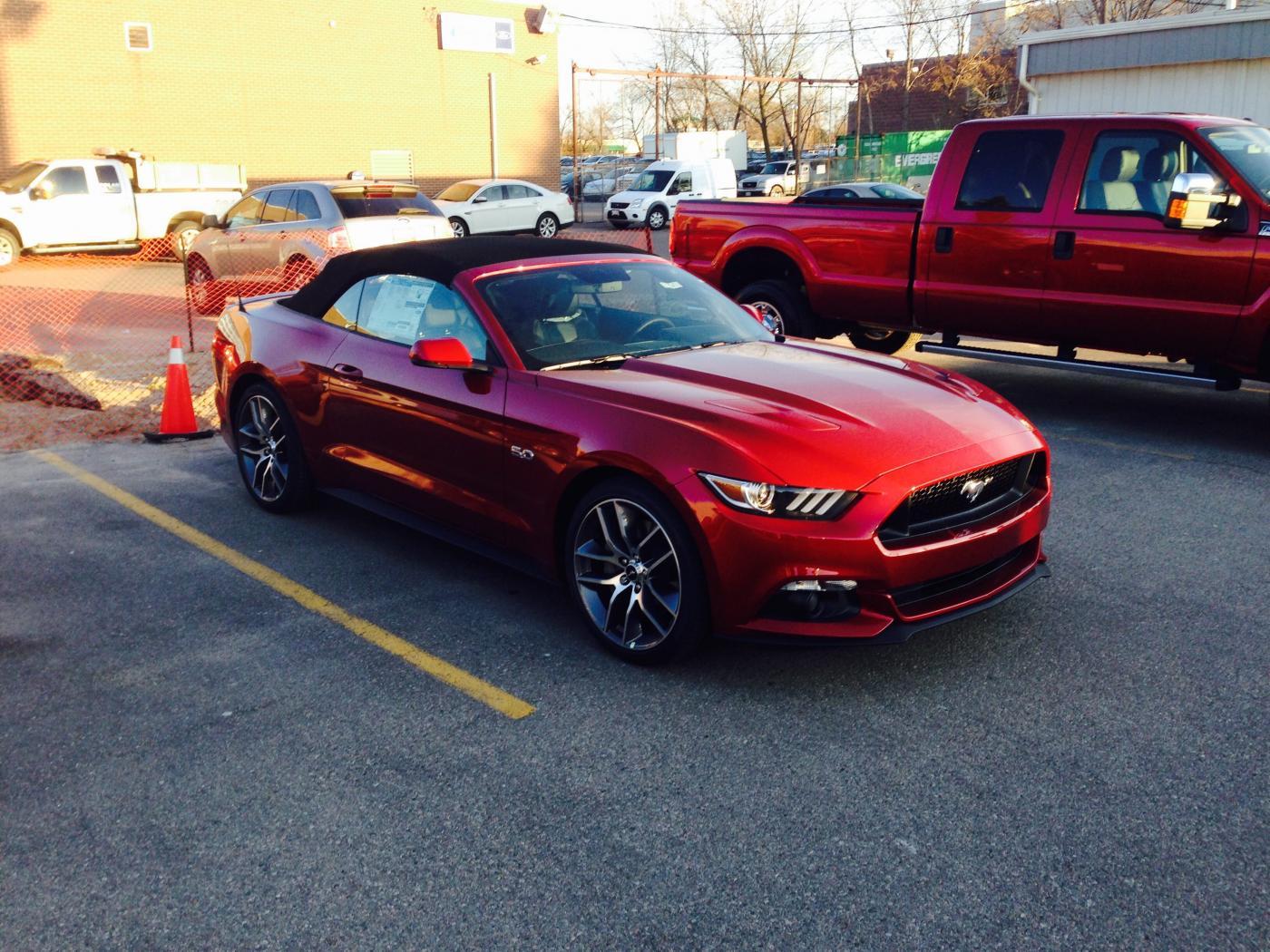 2015 RR Mustang 2.jpg