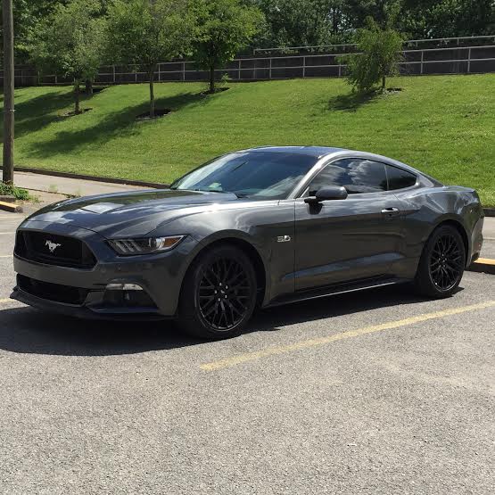 2015 GT.jpg
