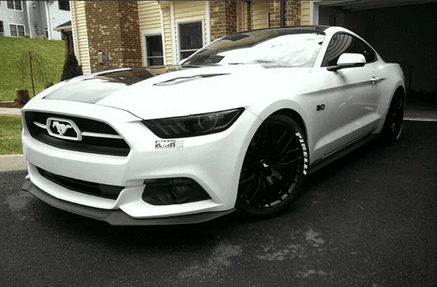 Terminated_Stang.webp