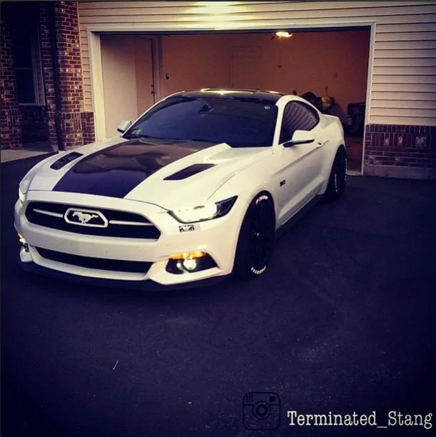 Terminated_Stang 2.webp
