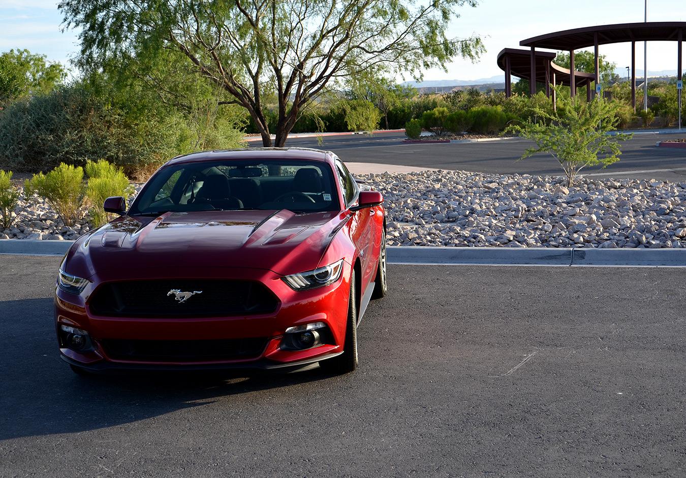 Coyote-5.0-V8-4.jpg