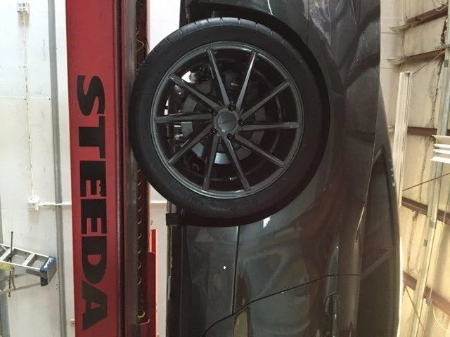 Rear.webp