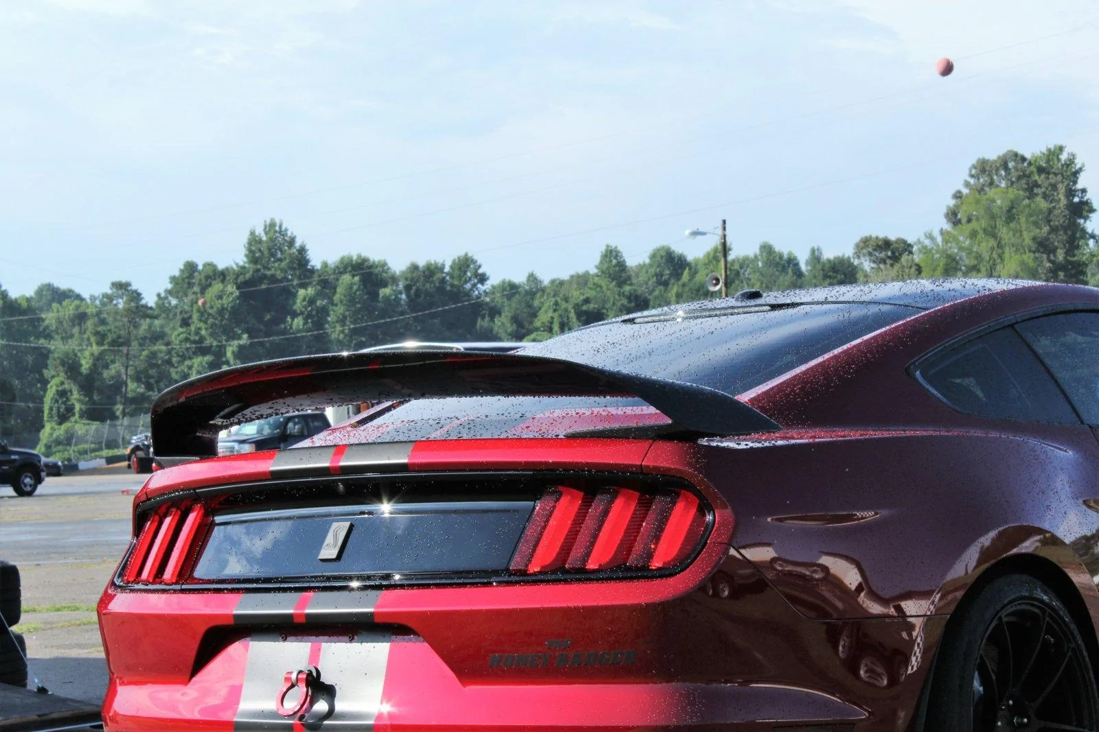 R wing rear.webp