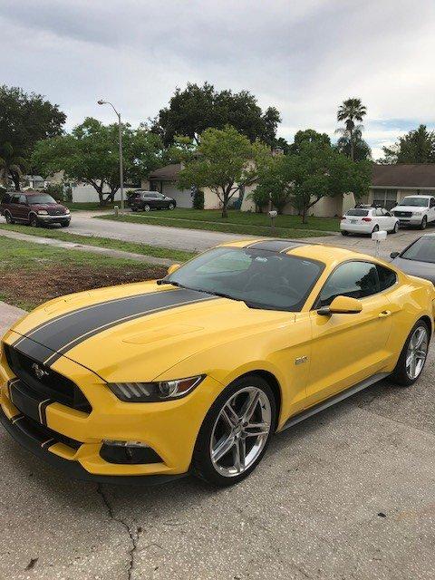 stang3.jpg
