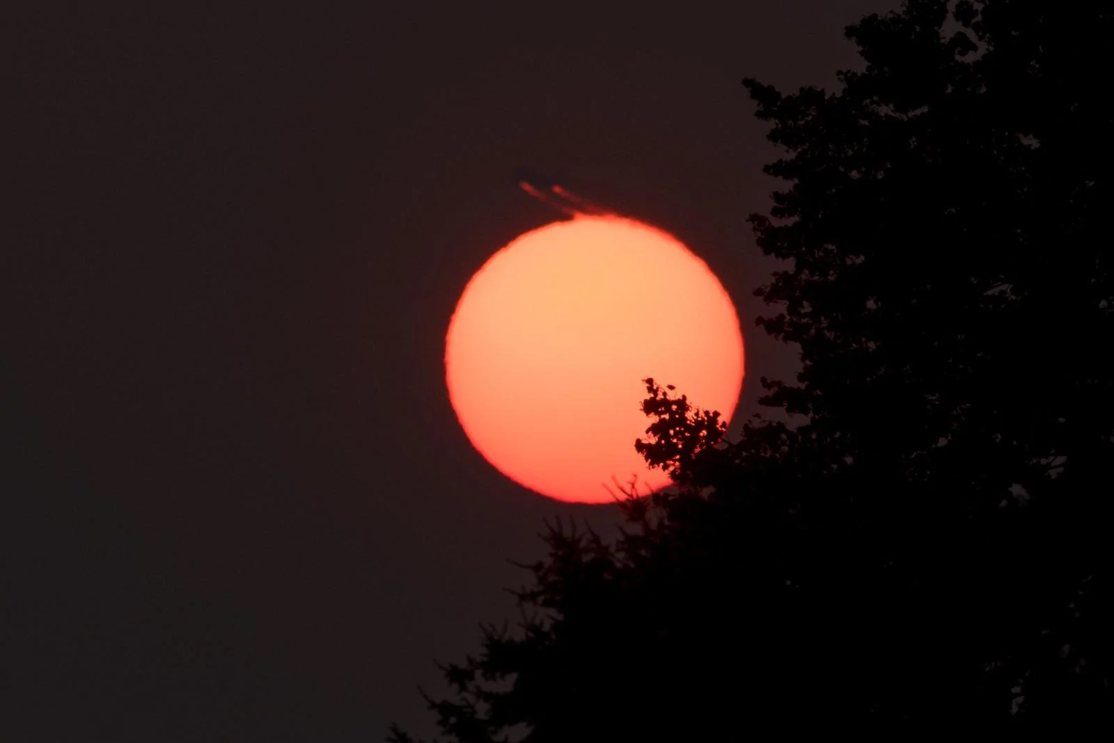 DSC02837.webp