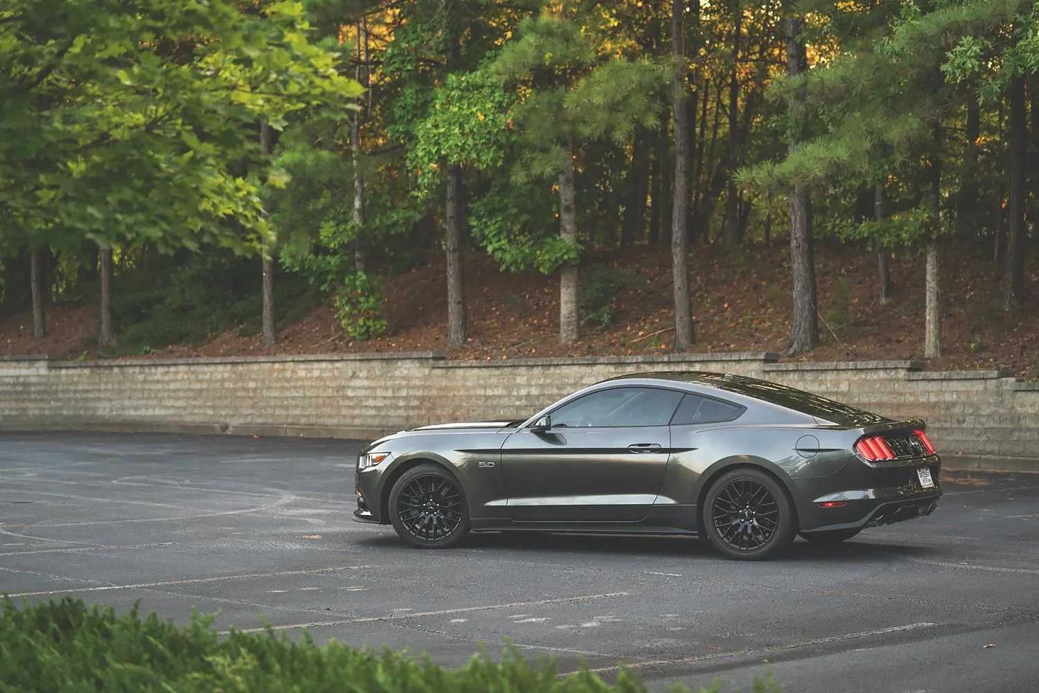 2015-GT-Side.webp