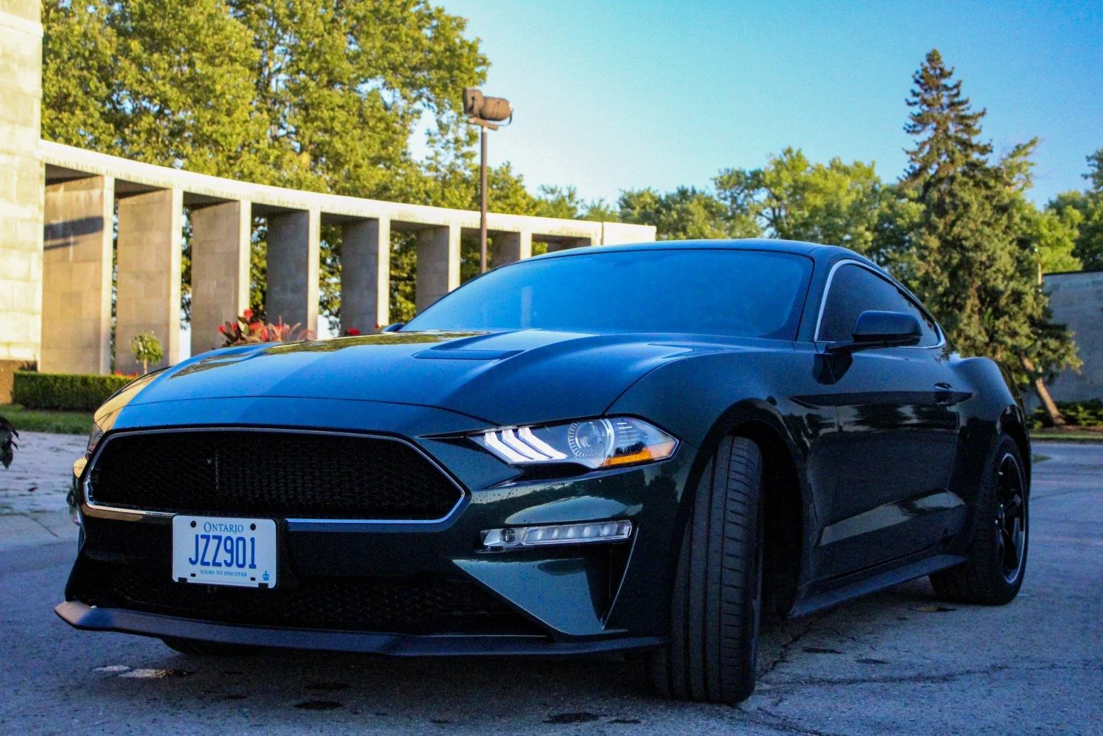 Bullitt.webp