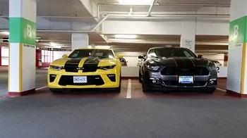 xx - small side by side.webp