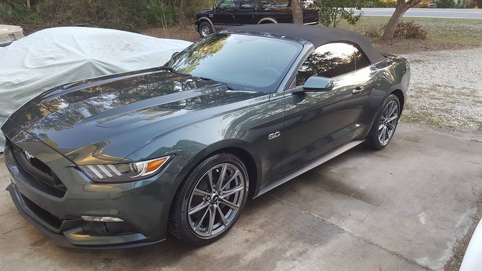 mustang.jpg